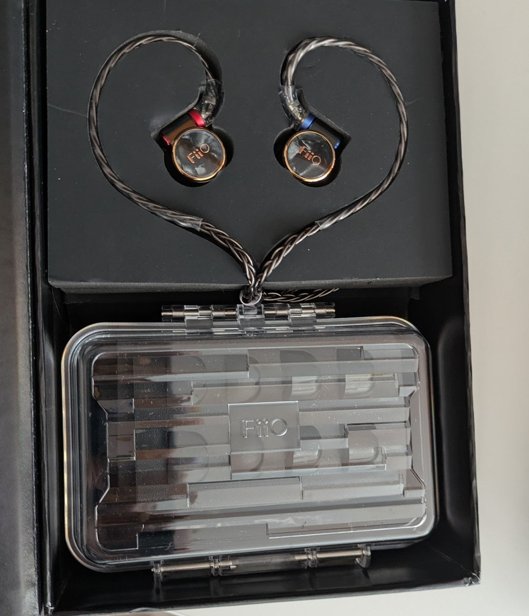 FIio FD3 Pro carry case