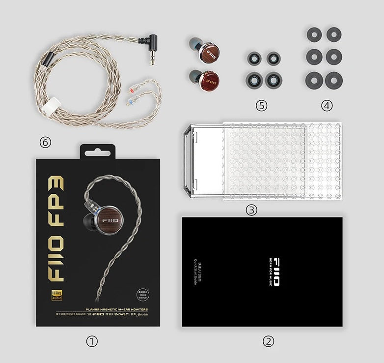 FiiO FP3 earphones accessories