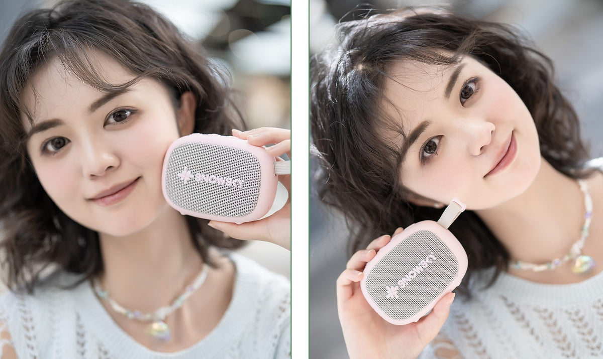 Snowsky FiiO Anywhere Wireless Bluetooth Speaker