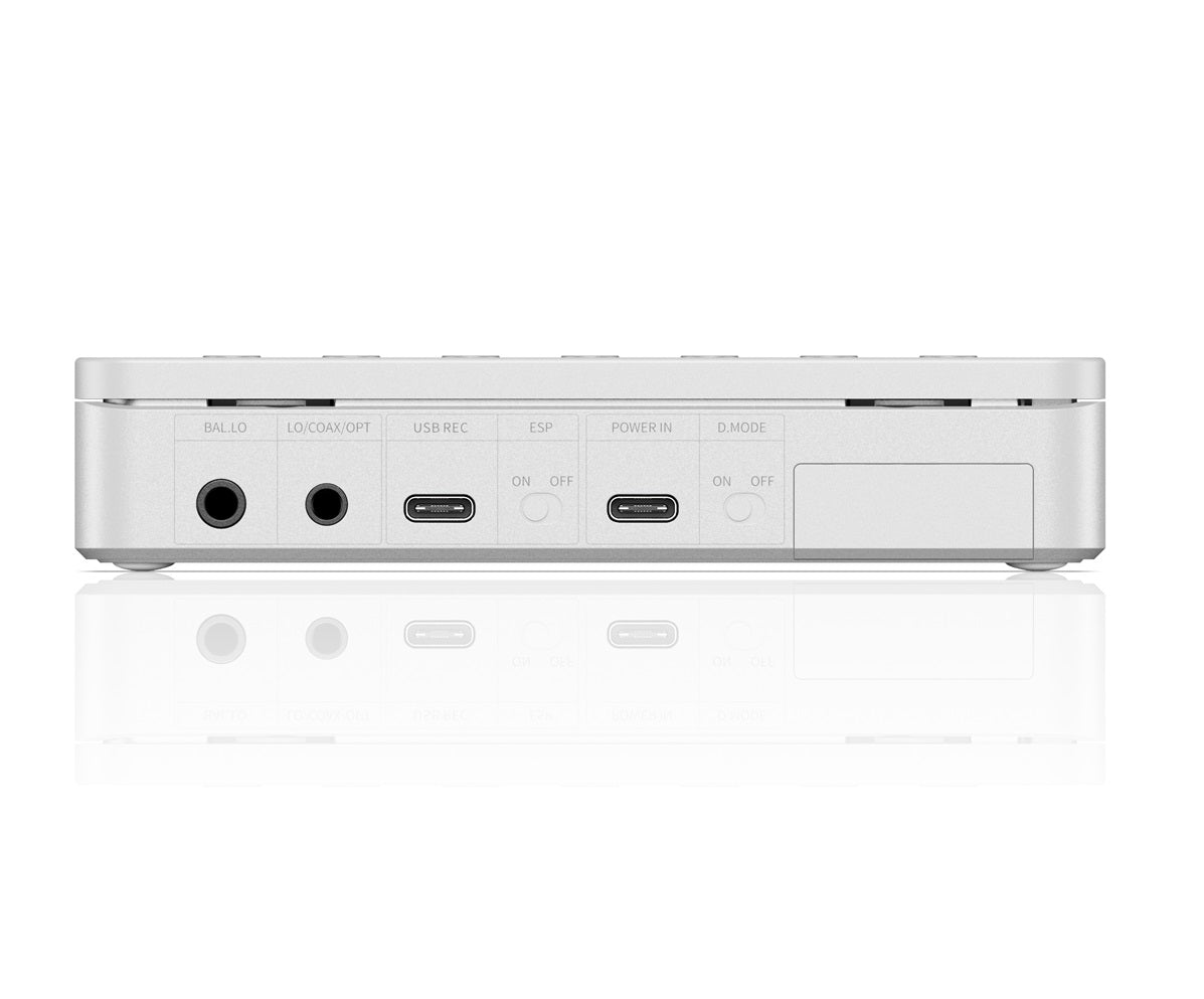 FiiO DM13BT rear panel with connections - in Canada