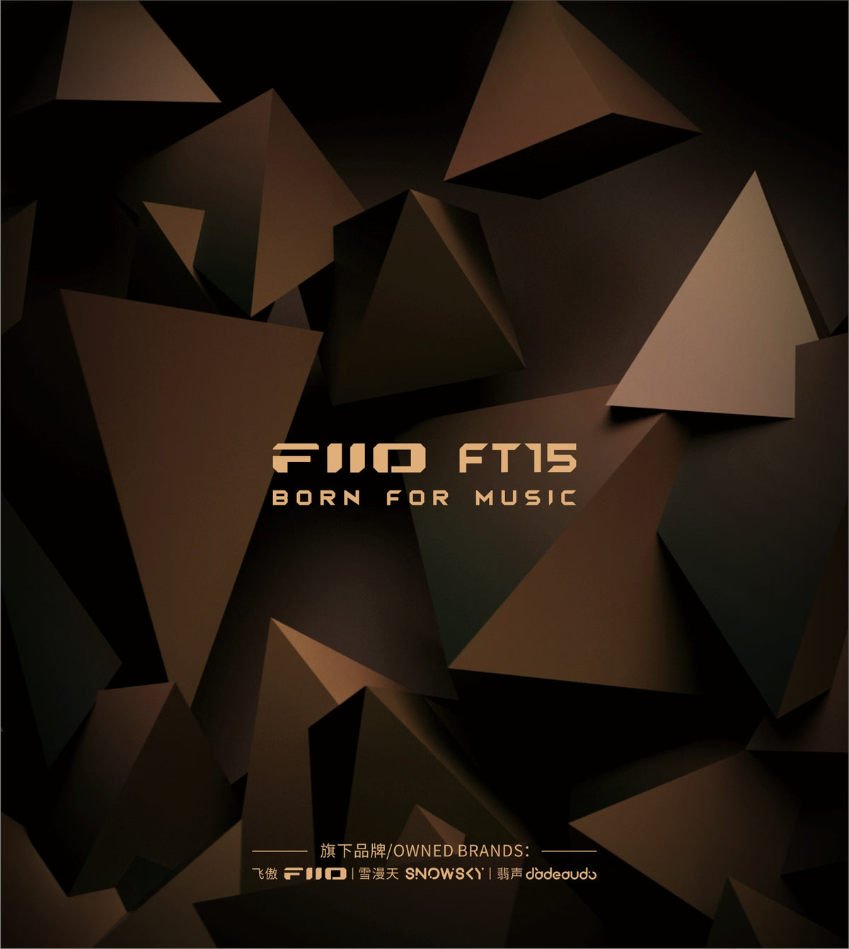 FiiO FT15 packaging