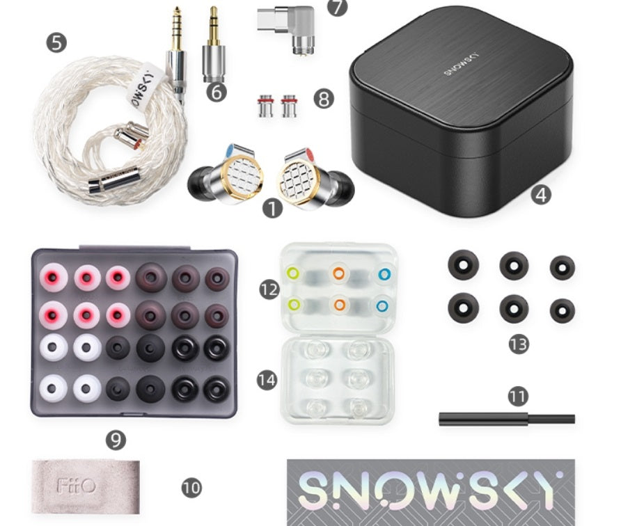 FiiO Snowsky Oak Nano accessories