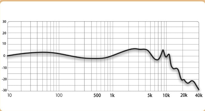 FiiO Oak Nano Black filter frequency response