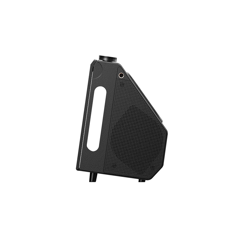 FiiO Retro Box speaker side black