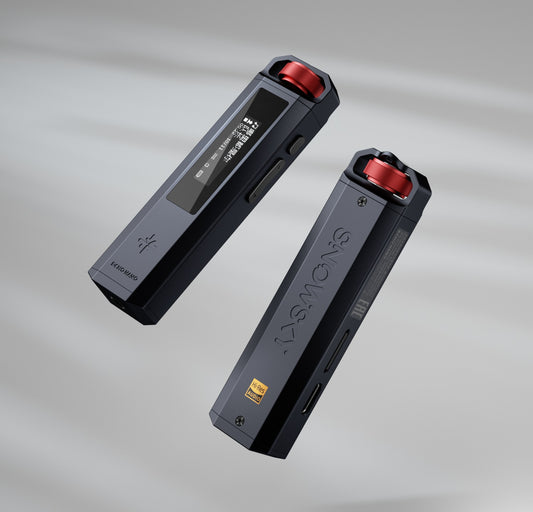 FiiO Snowsky Echo Nano MP3 player in black