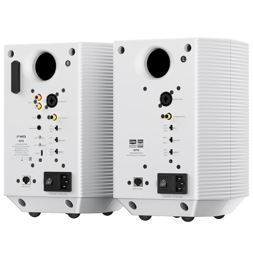 White SP5 speakers, rear connections