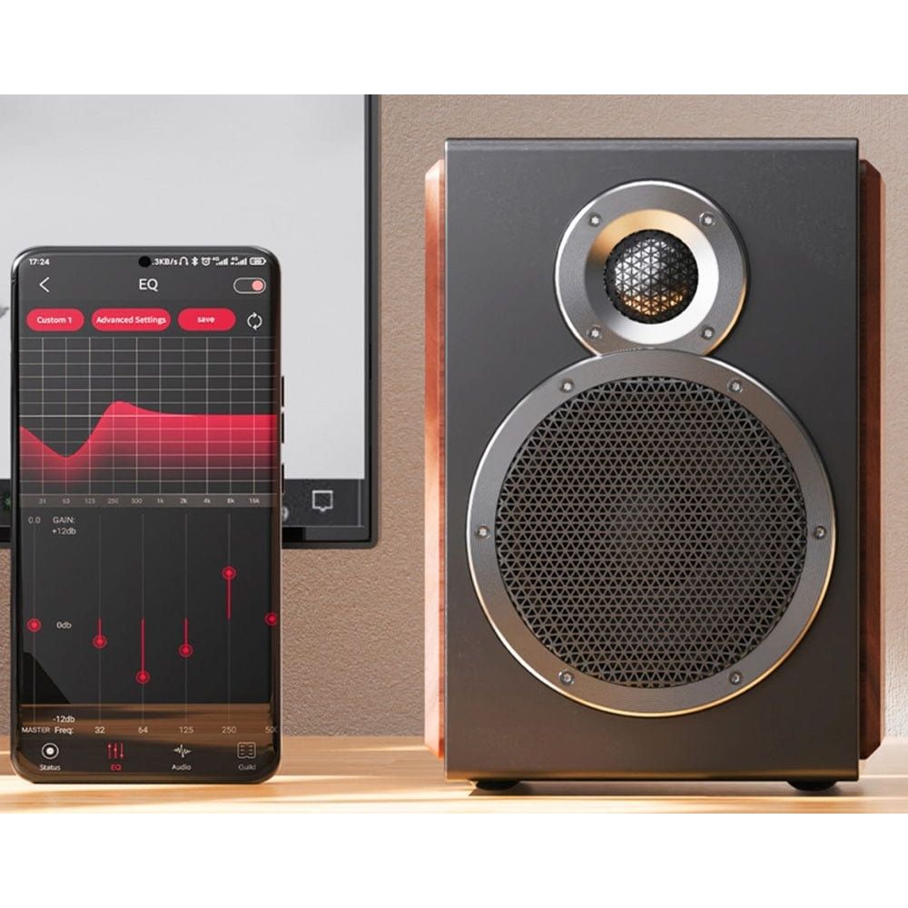 FiiO Speaker FiiO SA1 Speakers